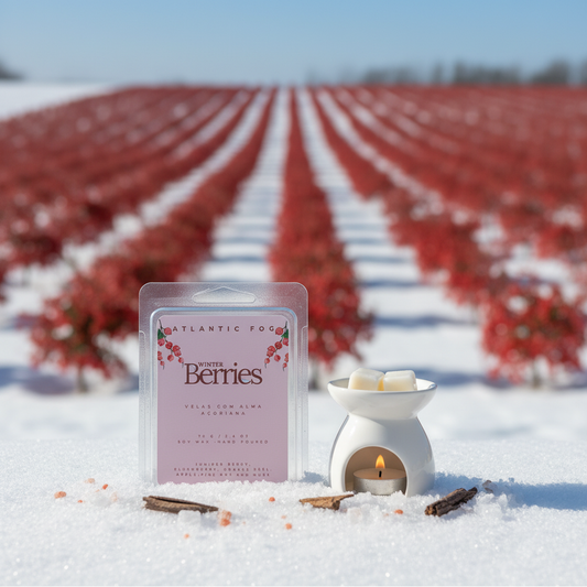 Winter Berries - Wax Melts